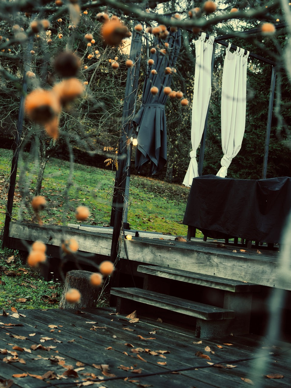 NUOVA COLLEZIONE FW26/27